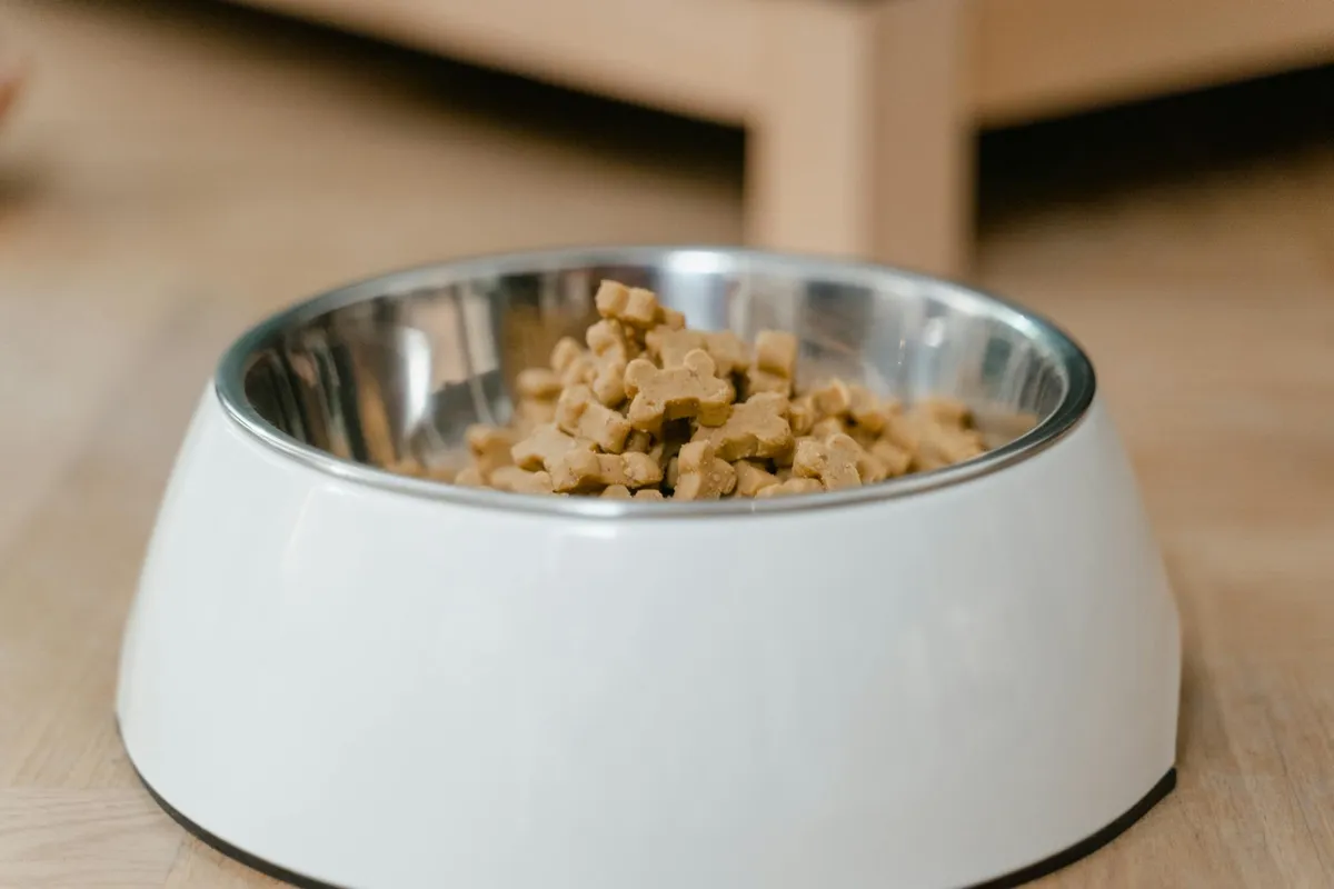 Cibo Secco per Cani Cibo secco per cani in una ciotola con un cane felice