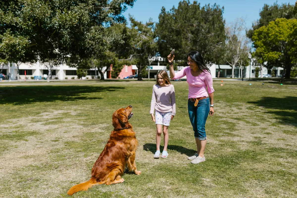 Varietà di trombe per cani Trombe per addestramento cani