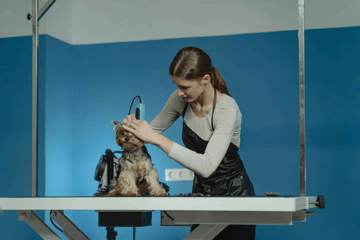 Attrezzi per la cura della pelliccia dei cani Strumenti di toelettatura per cani