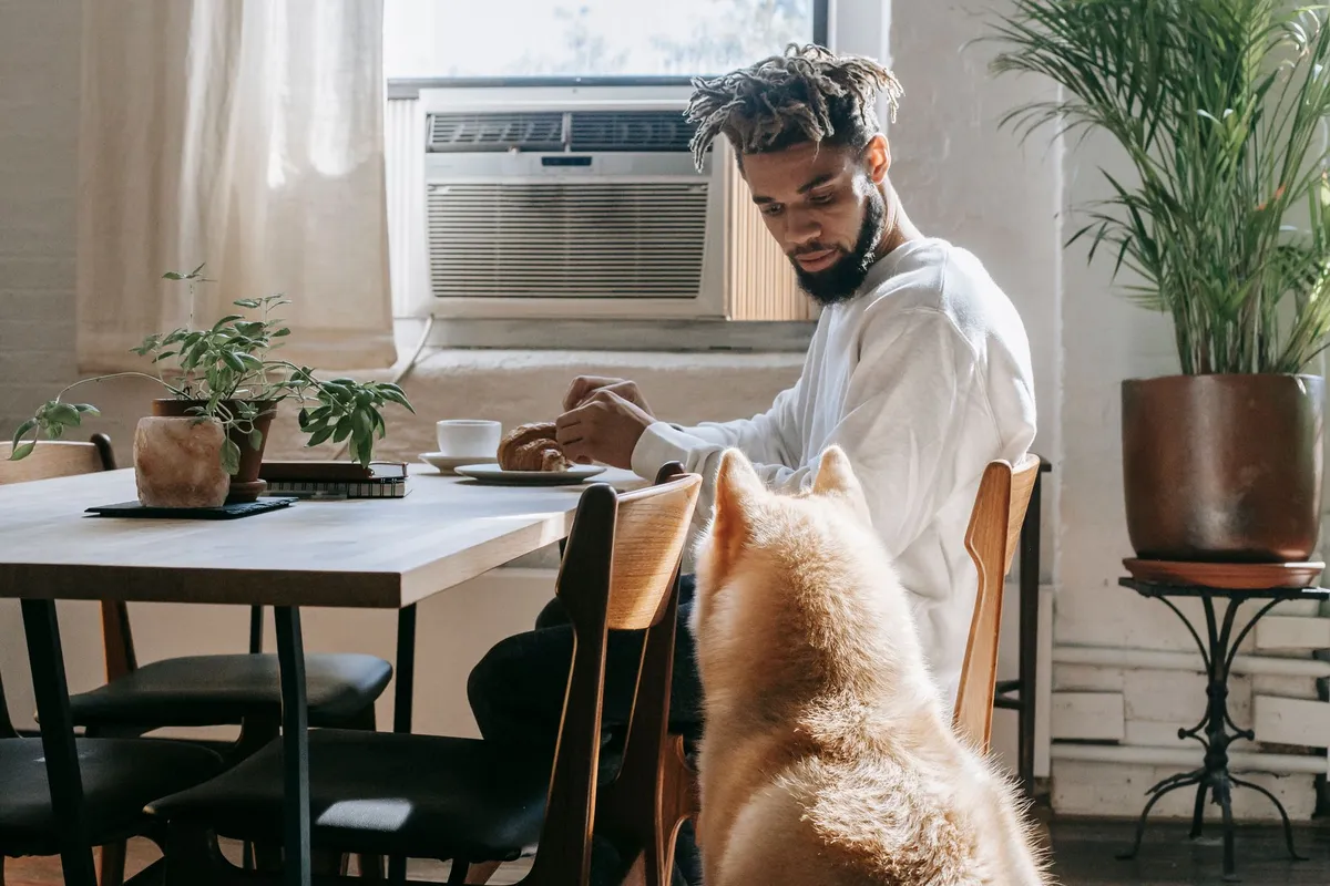 Applying Natural Conditioner on Dog Dog owner applying conditioner on dog