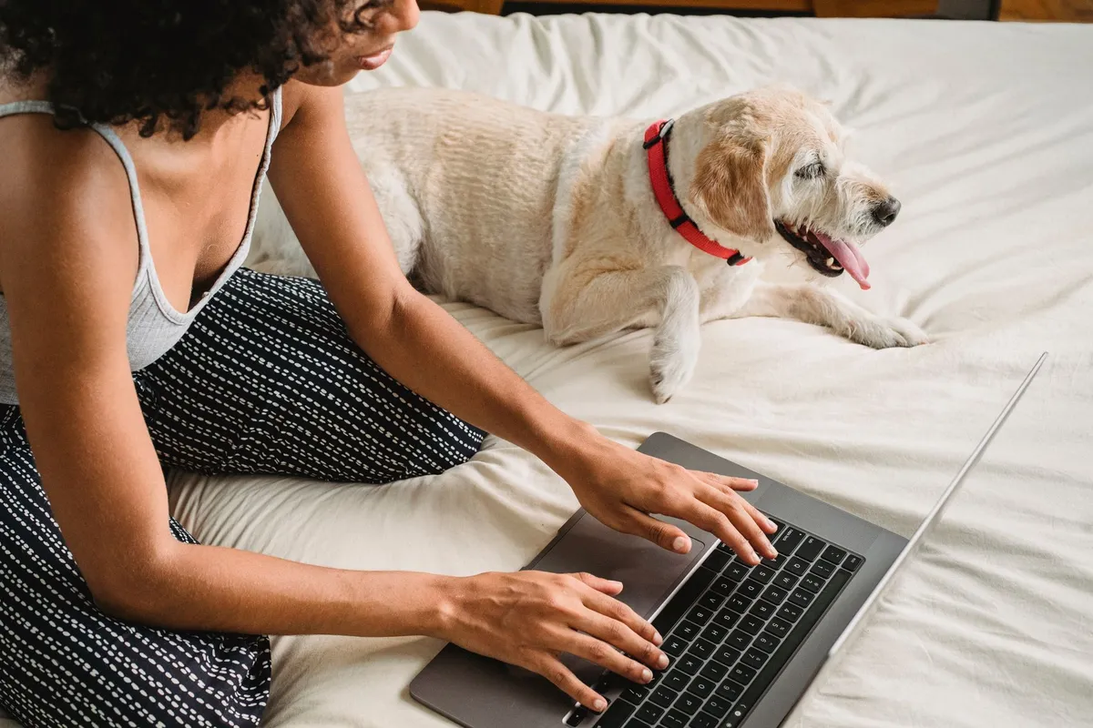 Acquisto online di accessori per cani Proprietario di cane mentre acquista accessori online