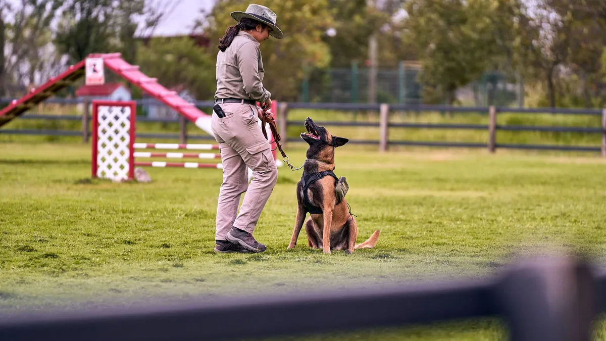 Professional Dog Training Dog trainer with a whistle and leash