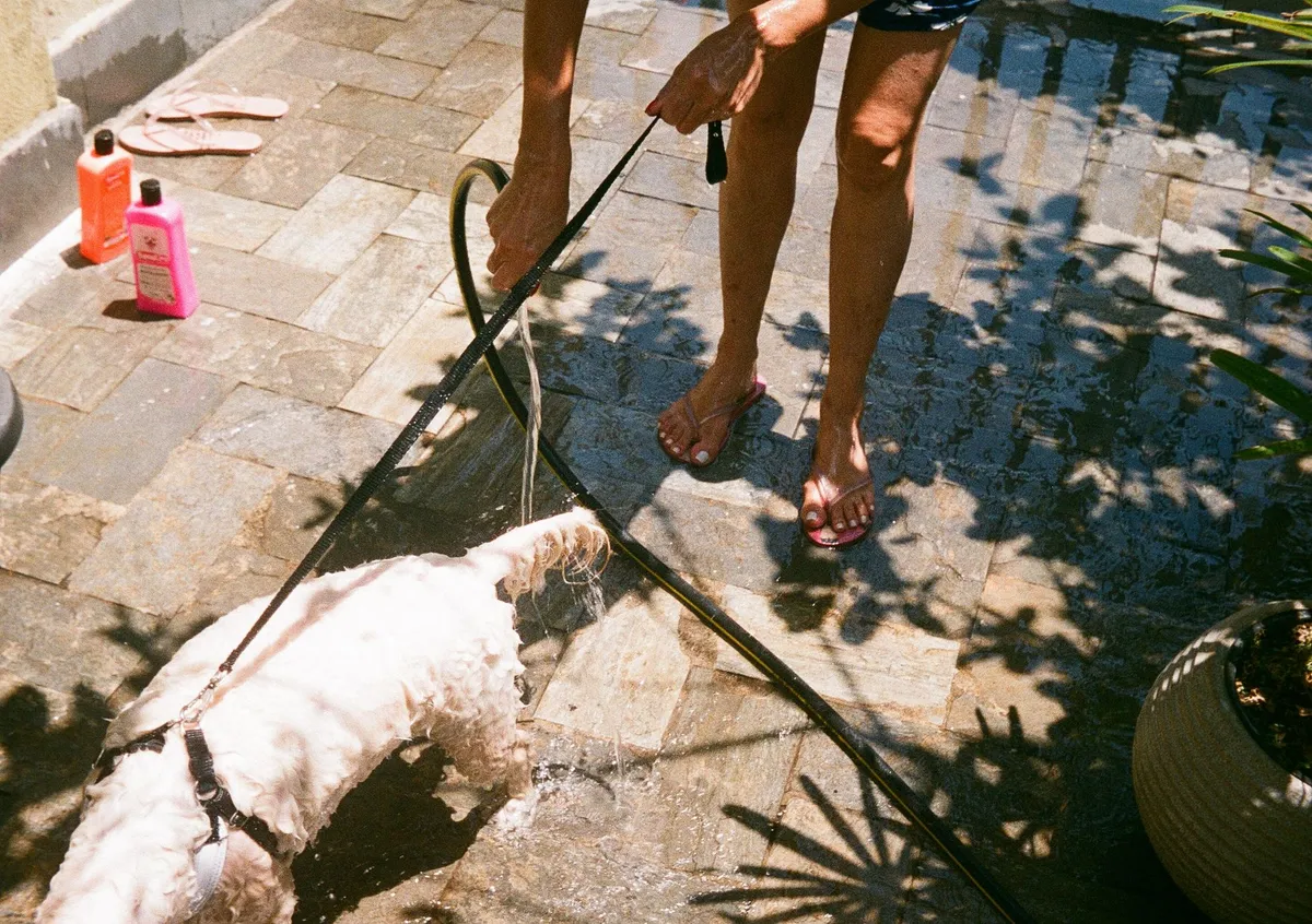 Pulizia di un Guinzaglio in Biothane Proprietario di un cane che pulisce un guinzaglio in Biothane