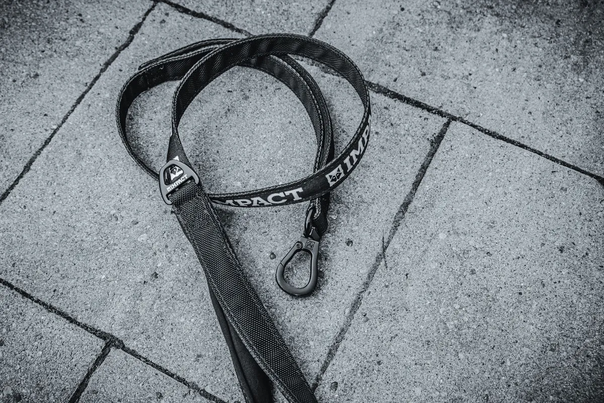 Accessori per cani di alta qualità Accessori per cani di alta qualità su un tavolo