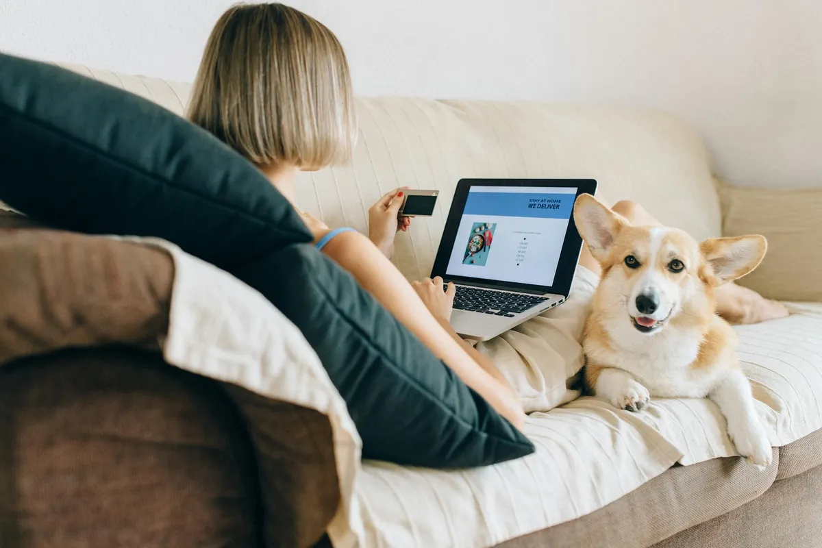 Easy Online Shopping Online shopping for dog accessories