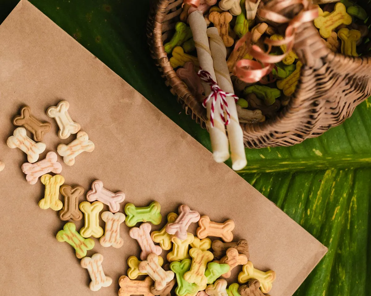 Varietà di Snack per Cani Varietà di snack per cani