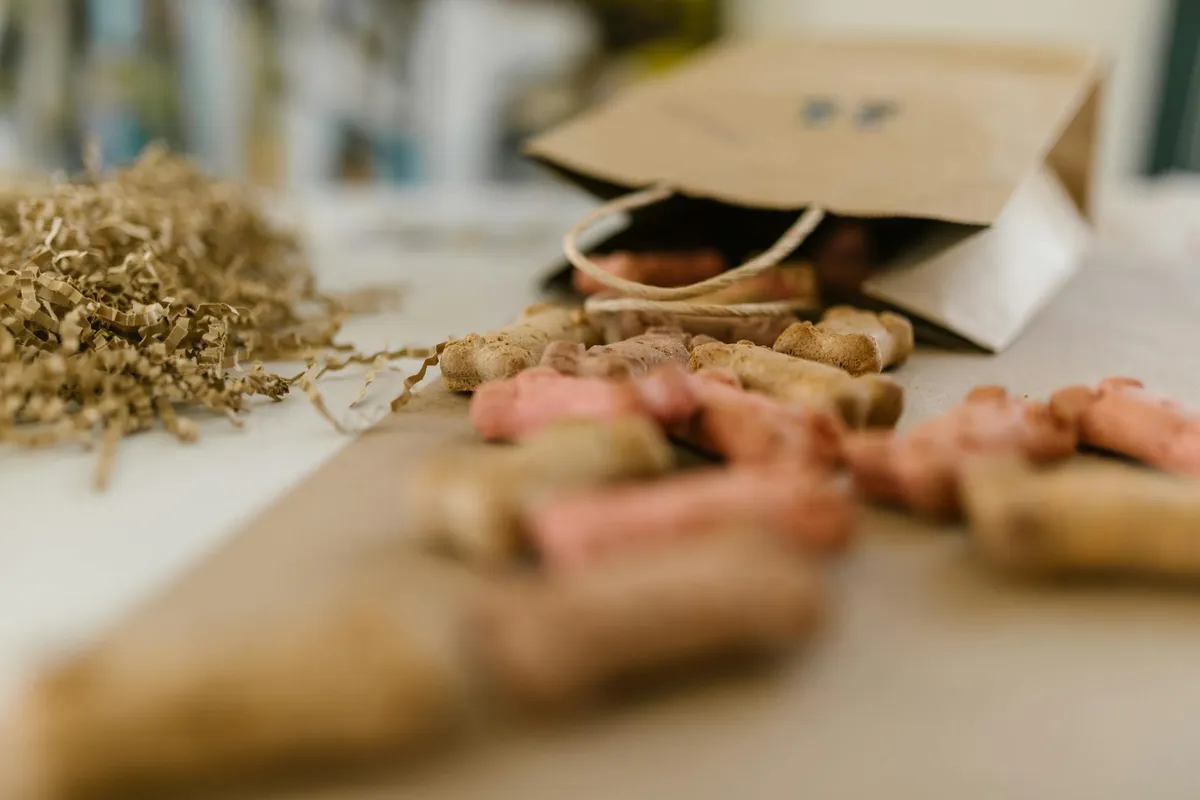 Opzioni di Cibo Naturale per Cani Varietà di cibo naturale per cani